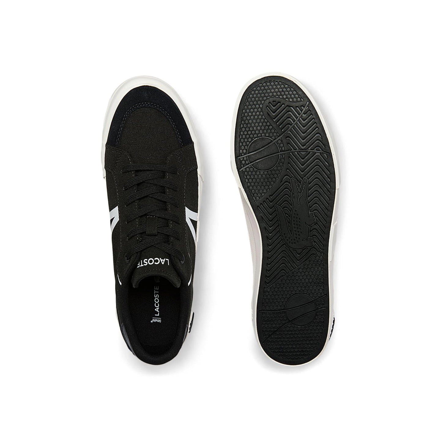 743CMA0055312 743CMA0055312