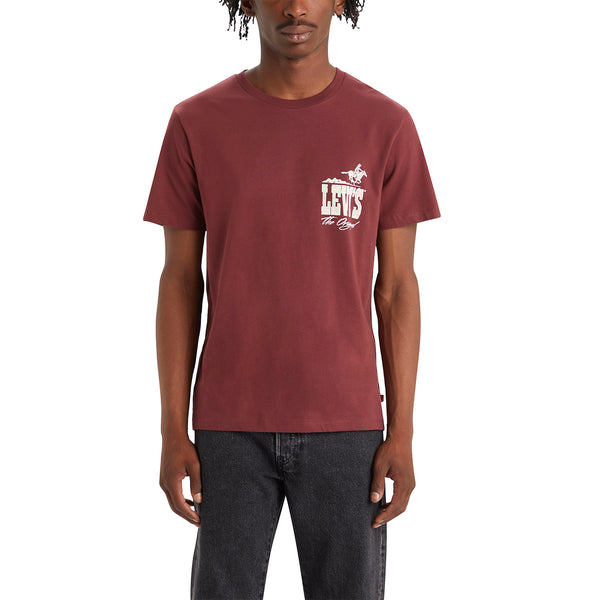 Polo Urbano Hombre Levis Graphic Crewneck Tee