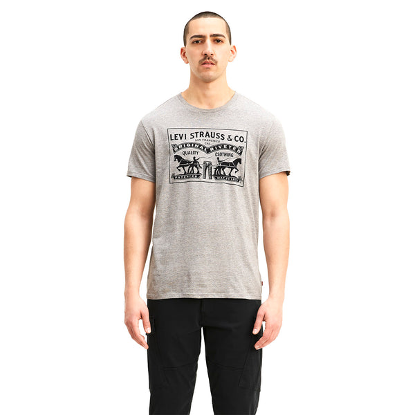 Polo Urbano Hombre Levis Graphic SeT-In Neck