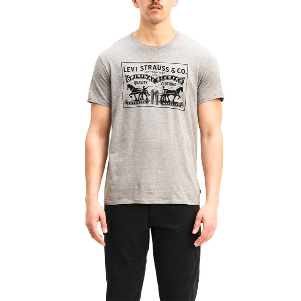 Polo Urbano Hombre Levis Graphic SeT-In Neck