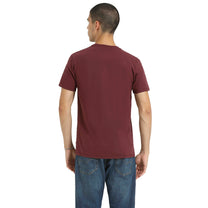 Polo Urbano Hombre Levis Graphic Tee - Para uso diario