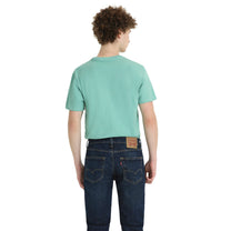 Polo Urbano Hombre Levis Graphic Tee color Verde Para uso diario - código 56195-0802