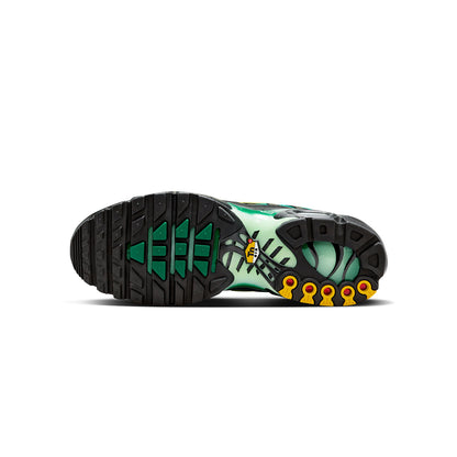 Zapatillas Urbano Hombre Nike Air Max Plus og