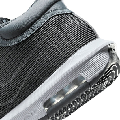 Zapatillas Basketball Hombre Nike Lebron Witness