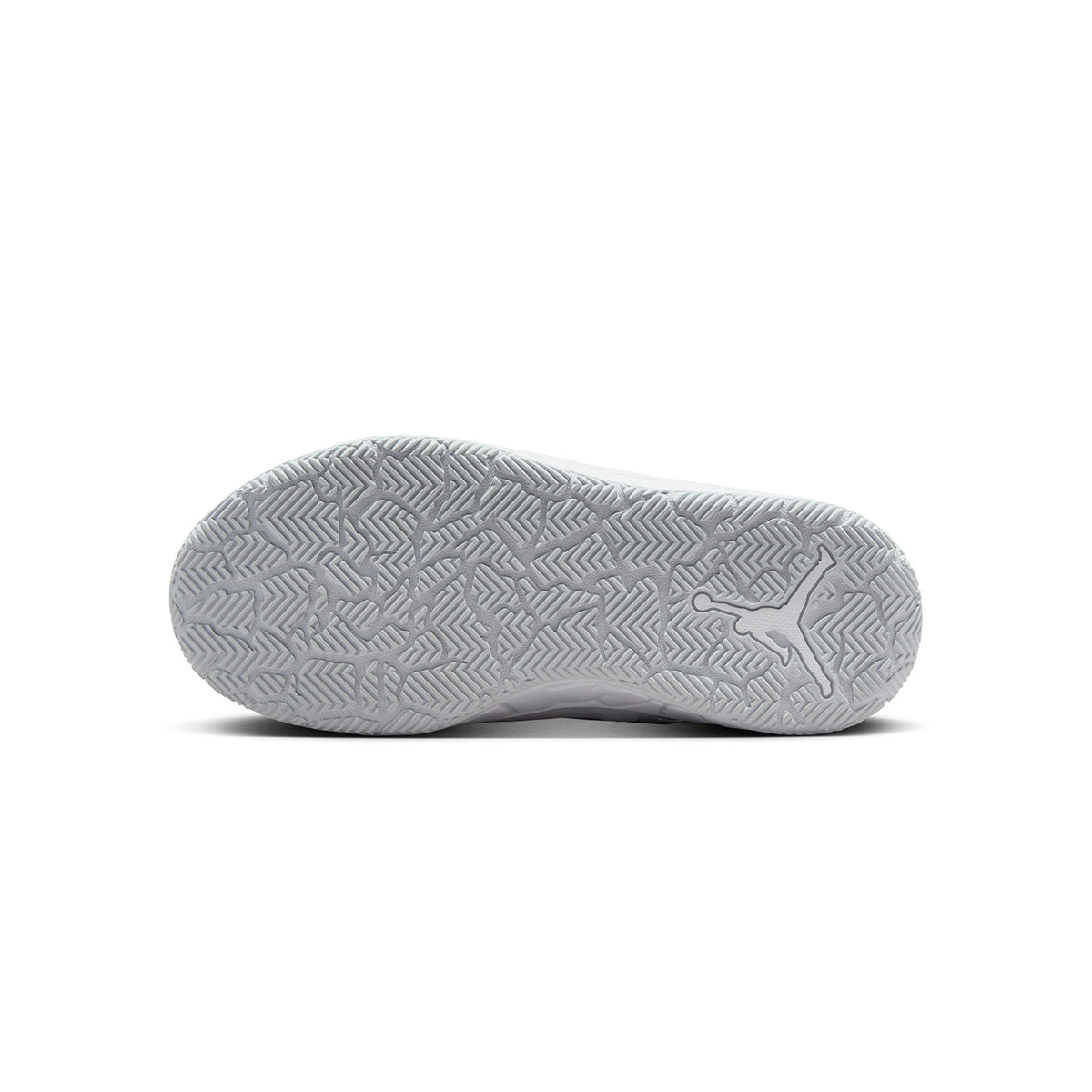 Zapatillas Nike Junior Jordan Day 1 Gris