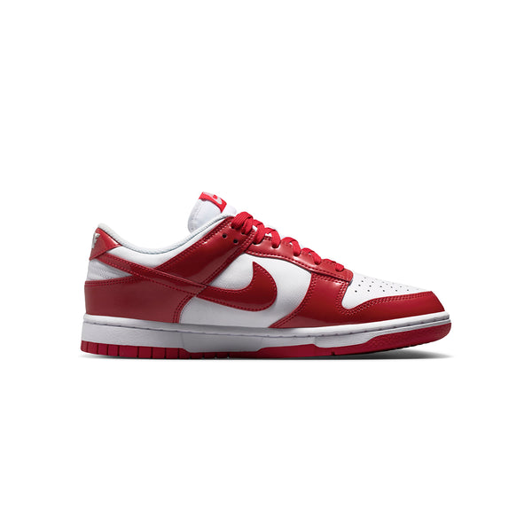 Zapatillas Urbano Mujer Nike Dunk Low Se Street1