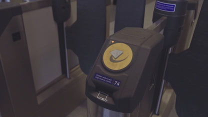 Kit de Limpieza Unisex Crep Protect Starter Pack